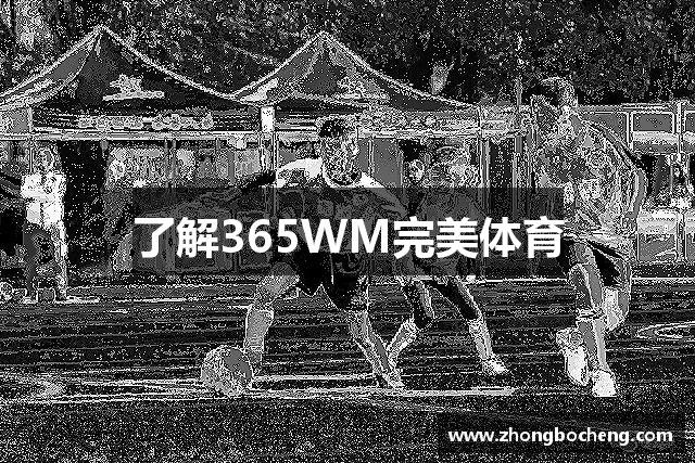 了解6686体育